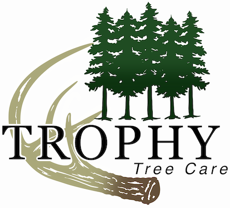 Trophy Tree Care logo